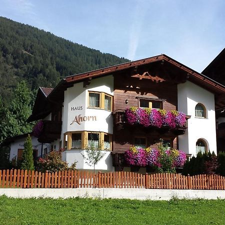 Ferienhaus Ahorn Нойштифт-им-Штубайталь Экстерьер фото